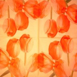 Orange dream